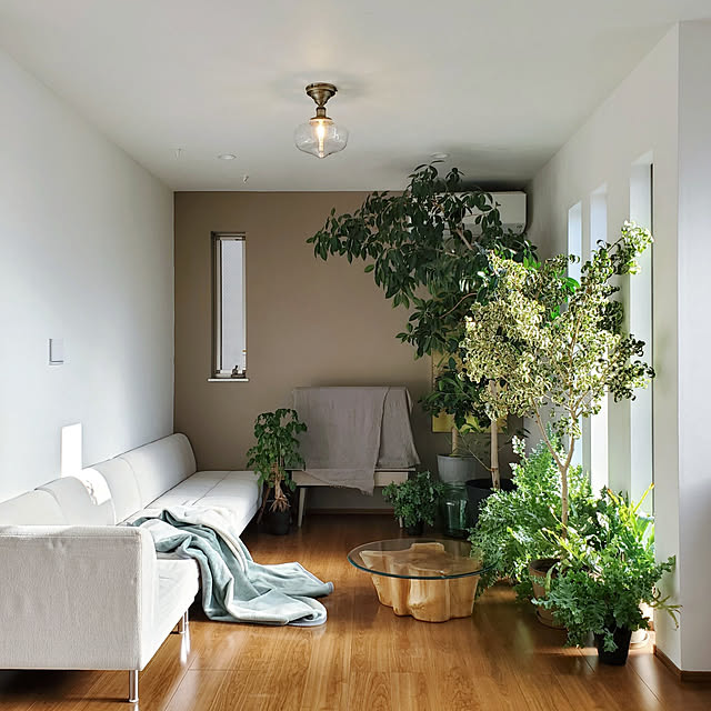 Overview,ブランケット,おうち見直しキャンペーン,観葉植物,花と緑のある暮らし,NO GREEN NO LIFE,植物のある暮らし,ローテーブル,ラウンドテーブル,RoomClipショッピング,インドアグリーン,季節を楽しむ暮らし moniの部屋