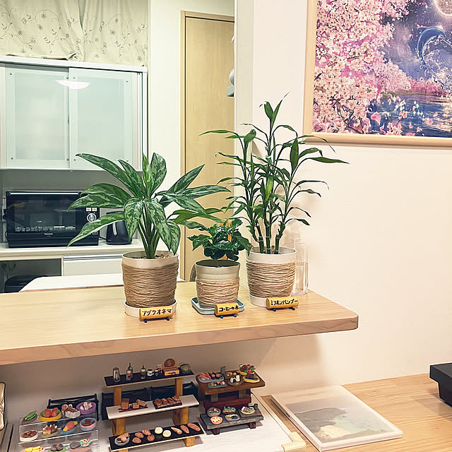 Lounge,廃材利用,プチプラインテリア,観葉植物,グリーン,100均,ハンドメイド,ディスプレイ,100均アイテム,観葉植物のある部屋,アグラオネマ,コーヒーの木,麻紐,ミリオンバンブー,グリーンのある暮らし,ディスプレイコーナー,麻紐ぐるぐる keep_patienceの部屋