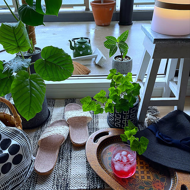 雨の日の楽しみ方,ベランダ掃除,Lounge,vsアレクサ miruの部屋