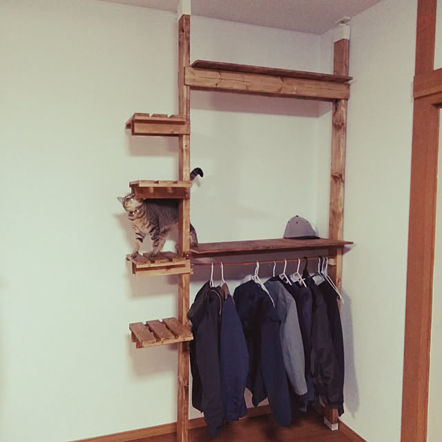 On Walls,ねこのいる日常,DIY,ラブリコでDIY,キャットタワーDIY macahakoatorudensukeの部屋