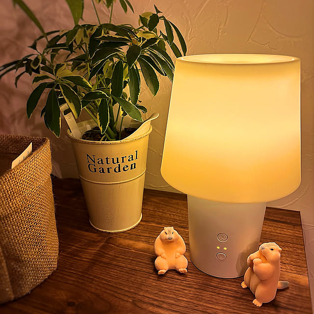 My Shelf,アロマ,アロマディフューザー,雑貨,ナチュラル,観葉植物,無印良品,照明 na-koの部屋