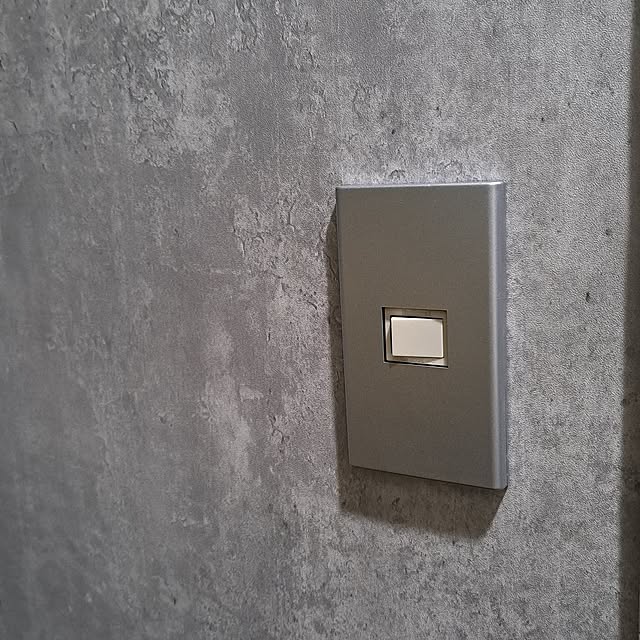 Bedroom,10分でできる,グレーインテリア,グレー好き,グレー,コンクリート風壁紙,一人暮らし,1LDK 1人暮らし,新生活,ひとり暮らし,RCの出会いに感謝♡,お返事遅くなります(｡-人-｡),生活を楽しむ,仲良くしてくれてありがとう♡,壁紙貼り貼り,スイッチカバーリメイク,リメイク,DIY女子,DIY初心者,連投すみません(｡><),DAISOスプレー,シルバー noaの部屋