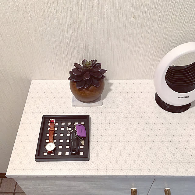 観葉植物,一人暮らし,多肉植物,モノトーン,ホワイトインテリア,Entrance rrrickoooの部屋