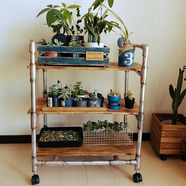 My Shelf,塩ビパイプ,DIY,リメ缶,多肉植物 yu-uの部屋