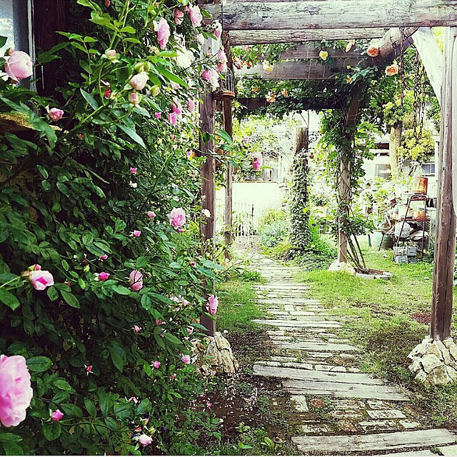 Entrance,ガーデニング,薔薇,花のある暮らし,ゼロからの手作りの庭,旦那さんとDIY,DIY,アンティーク,IGやってます,ig→e.r.n.a_,古レンガと枕木のアプローチ,パーゴラDIY,薔薇のある暮らし Erenaの部屋