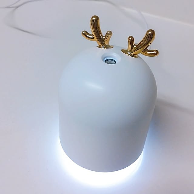 Overview,乾燥対策,ダイソー,Daiso,ミニ加湿器 nasieの部屋