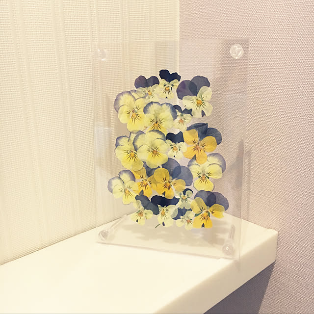 Bathroom,ビオラ,セリア,ハンドメイド,押し花,ガーデニング初心者,花のある暮らし nanachanmamaの部屋