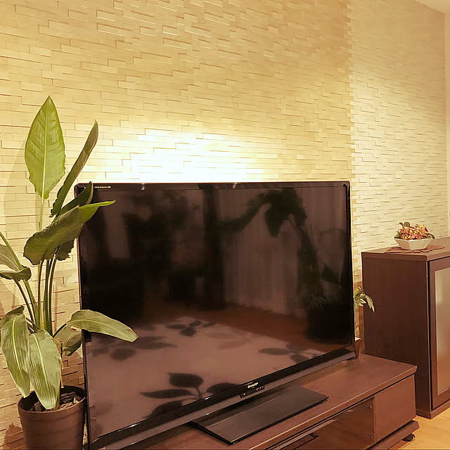 イベントに参加,テレビのスポットライト,コレ、DIYしたよ！,観葉植物,IKEA,DIY,照明,フェイクグリーン,Lounge gokumamaの部屋