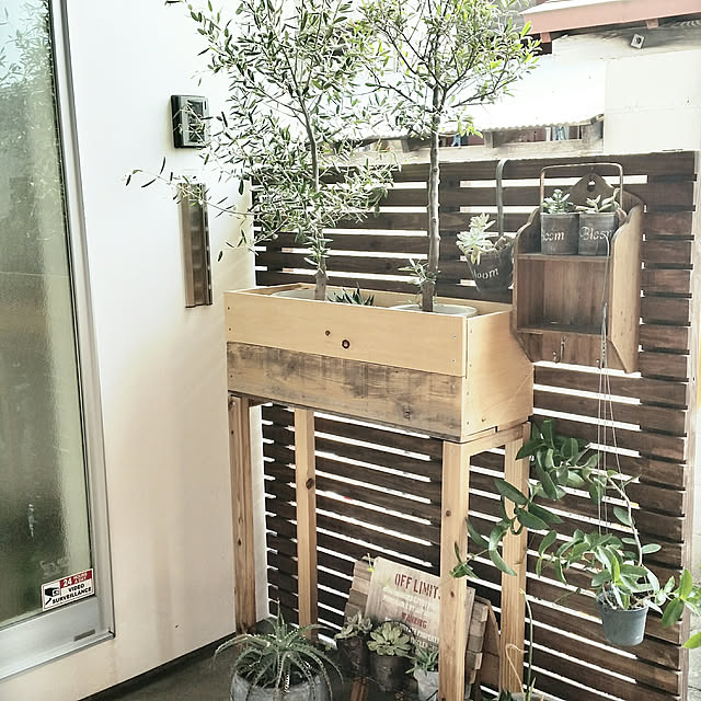 Entrance,暑さ対策,鉢カバーDIY,グリーンインテリア,オリーブ,手作りウッドプランター,観葉植物,いつもいいねやコメありがとうございます♡,2017.8.2 chieの部屋