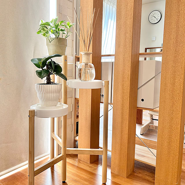 Lounge,フィカスソフィア,ポトス,ポトスエメラルド,観葉植物のある暮らし,観葉植物,サッツマスプラントスタンド,サッツマス,SATSUMAS,イケア,IKEA,プラントスタンド,ときめきアイテム,北欧,ナチュラルインテリア,フラワースタンド toyoの部屋