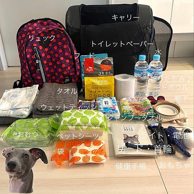 エアバギーフォードッグ,防災グッズ,犬のいる暮らし riakanaの部屋