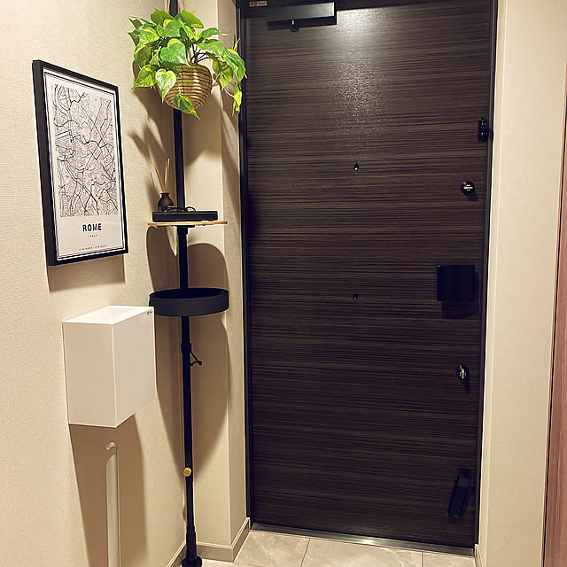 Entrance,玄関インテリア,玄関ディスプレイ,ドローアライン,観葉植物 super-novaの部屋
