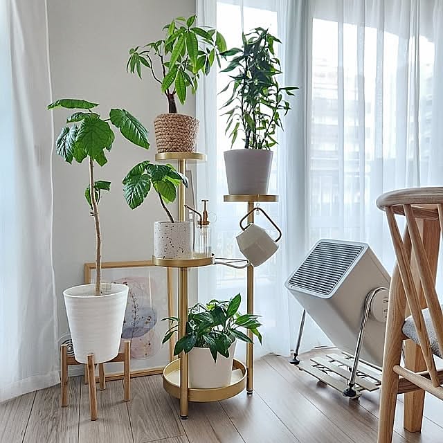 観葉植物のある暮らし,グリーン,マンション,夏,すっきり暮らす,ナチュラルモダン,マンション暮らし,フルリノベーション,ナチュラルインテリア,リノベーション,中古マンション,RHYTHM,ゴールド,IKEA,プランタースタンド,空気清浄機,My Shelf pinonの部屋