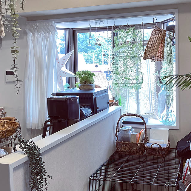 Overview,4枚投稿です♡,テーブルクロス,アクセントクロス,ガーデンテーブル,リビング,キッチン,キッチンカウンター,ダイニングテーブル,ソファー,間接照明,窓,出窓,ルームツアー,観葉植物,ナチュラル,グリーン,ベランダ,ガーデニング,癒し,マンション,植木鉢,ベランダガーデン,ガーデン雑貨,ソーラーライト,鉢植え,リノベーション,ディスプレイ,フェイクグリーン,ディスプレイコーナー madamkaoriの部屋