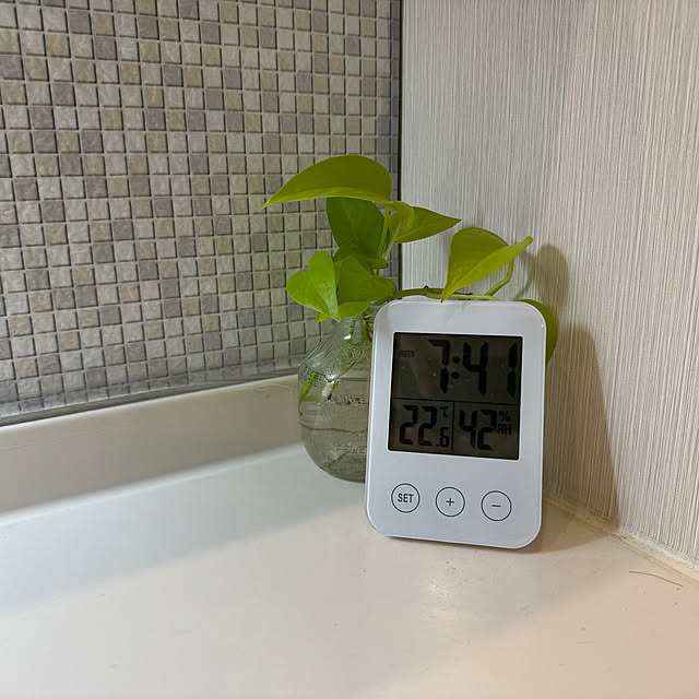 Overview,時計,IKEA,観葉植物 Rainyの部屋