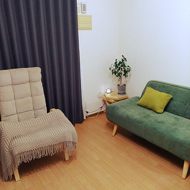 Overview,ブロックランプ,がじゅまる,賃貸アパート,おうち時間,ニトリ,観葉植物,DIY uuunnnの部屋