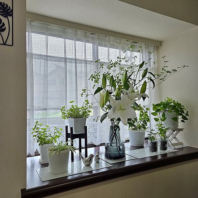 花,窓,グリーン,カーテン,カウンター,ディスプレイ,出窓,花瓶,マンション,フラワーベース,お気に入りの場所,ディスプレイ棚,生花,アイアン壁飾り,ドウダンツツジ,ホルムガード フローラ,百合,グリーンディスプレイ,初夏,癒し,枝物,鳥のオブジェ,オブジェ,SHEIN,モダン,モダンインテリア,Bedroom love1017の部屋