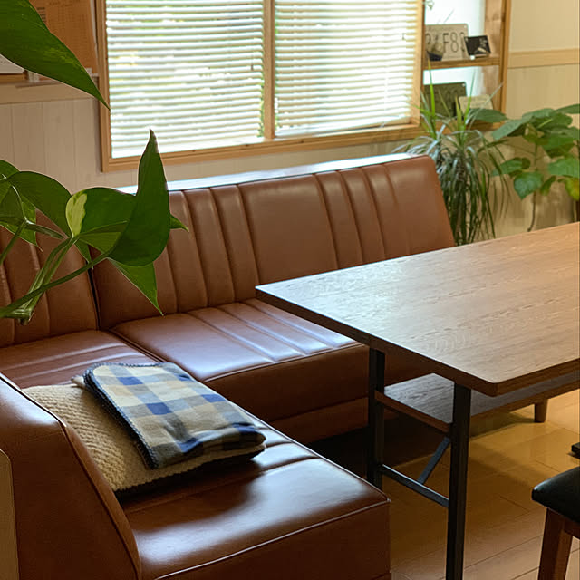 観葉植物,Lounge reonaの部屋