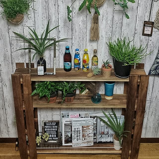 My Shelf,ブックシェルフ,ココナッツハンギングボウル,【植中毒】,夏仕様,ボート小屋系,大嶺工房,植物のある暮らし,すのこ,琉球ガラス,ugｻﾝ❤,やちむん,ミルクブッシュ,GREEN FINGERS,アスプレニウム,いなざうるす屋さん,ニラちゃんLOVE,DIY chobiの部屋