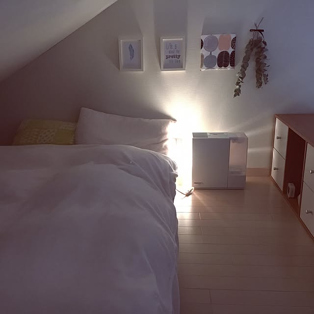 Bedroom,北欧好き,加湿器,ハイブリッド加湿器,ダイニチ,ユーカリドライリース,照明,観葉植物,ナチュラル,IKEA,DIY,ドライフラワー,北欧,一人暮らし koriyamakorisの部屋