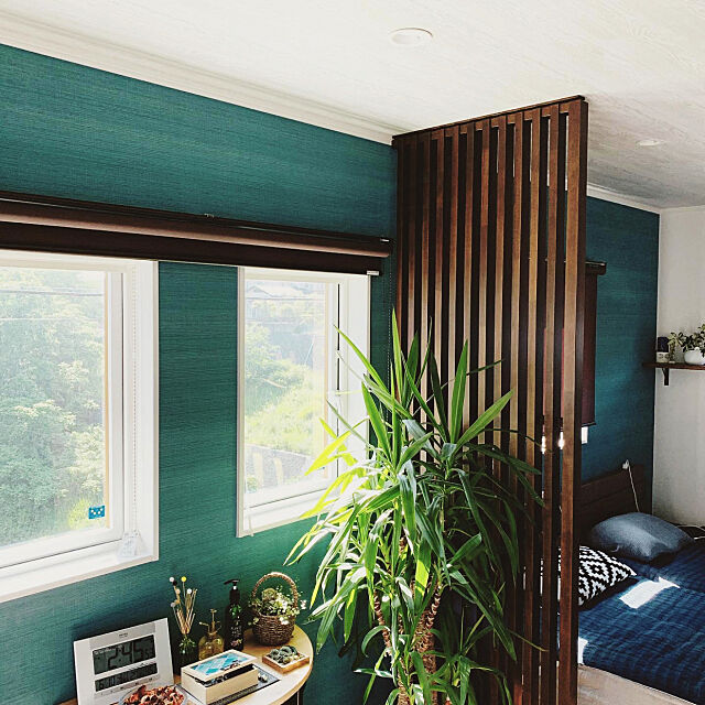 サンゲツ壁紙,アクセントクロス,無印良品,観葉植物,IKEA,On Walls ykykの部屋