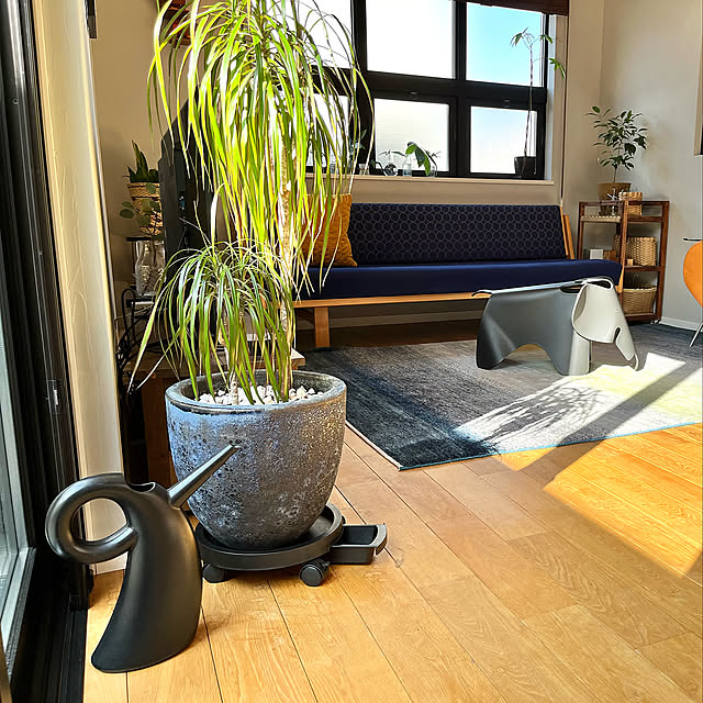 プランツトレー,花台キャスター付き,便利グッズ,北欧インテリア,Vitra エレファント,デイベッド,植物の移動をラクにする,植物の水やりをラクにする,観葉植物のある暮らし,グリーンのある暮らし,amabro,無垢の床,Lounge mashleyの部屋