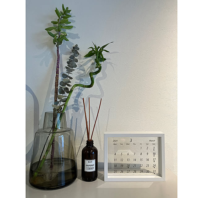 On Walls,キャンドゥ,スタプロ,Standard Products,百均diy,百均リメイク,10分でできる,賃貸マンション,賃貸インテリア,賃貸でも諦めない！,グリーンのある暮らし,イイネありがとうございます♪,フォローすごく嬉しいです♡,コメント嬉しいです♡,ステンレス好き,無機質インテリア,現状回復インテリア pippiの部屋