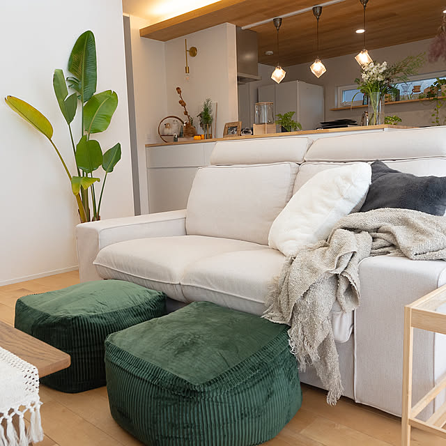 Lounge,ニトリ,niko and…,IKEAソファ,オットマン風,吹き抜けリビング,ふかふかクッション♡,ビーズクッション,ふかふかで気持ちいい,夫婦2人暮らし,Nikonzfc,観葉植物のある暮らし y.tora5の部屋
