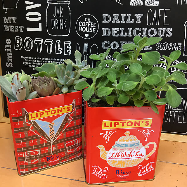 イベント参加します♡,紅茶の空き缶,多肉植物,多肉ハーブ,再利用,My Shelf akekuroankoの部屋