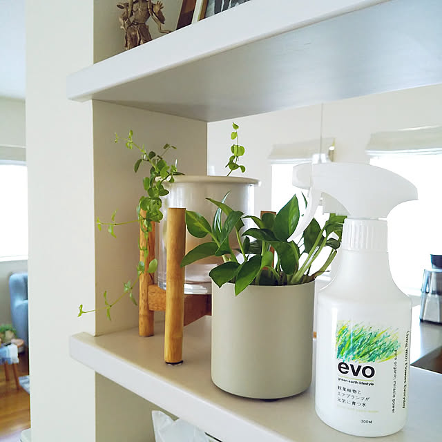 My Shelf,ニッチ,見てくれてありがとうございます♡,フォロワーの皆様に感謝♡,癒し,観葉植物のある暮らし,ポトスグローバルグリーン,ペペロミア,アクタス,片付け,ガーデン雑貨,仏像ガチャ,貫通ニッチ,グリーン Haの部屋