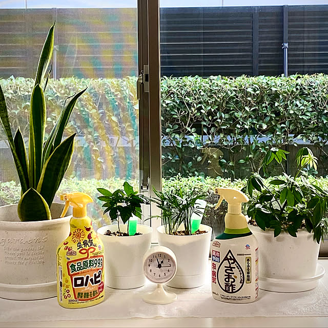 観葉植物のある暮らし,アースガーデン,害虫対策,ガーデニング,アース製薬様ありがとうございます♡,見て頂き有難うございます♬,人と植物に優しいやさお酢,Lounge YuuKoの部屋