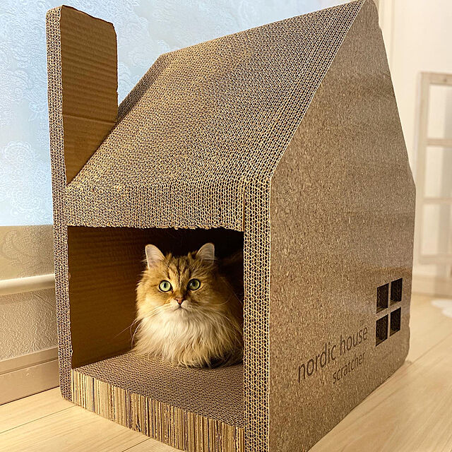 猫と暮らす,猫と暮らす家,猫と暮らすインテリア,猫と暮らす生活,猫,Bedroom furitamaの部屋