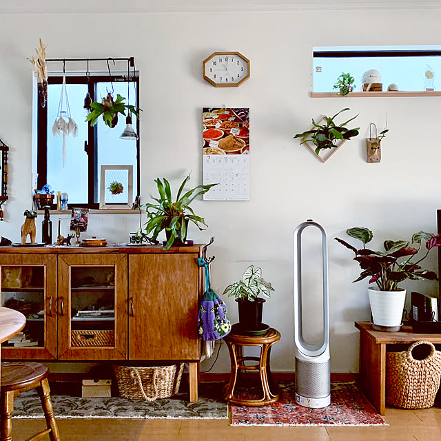 カラジウム,ダイソン扇風機,夏家電,植物のある暮らし,ボタニカルインテリア,飾り棚,DIY,ガーデン雑貨,トルコラグ,スツール,Overview,グリーン,夏 HAKOの部屋
