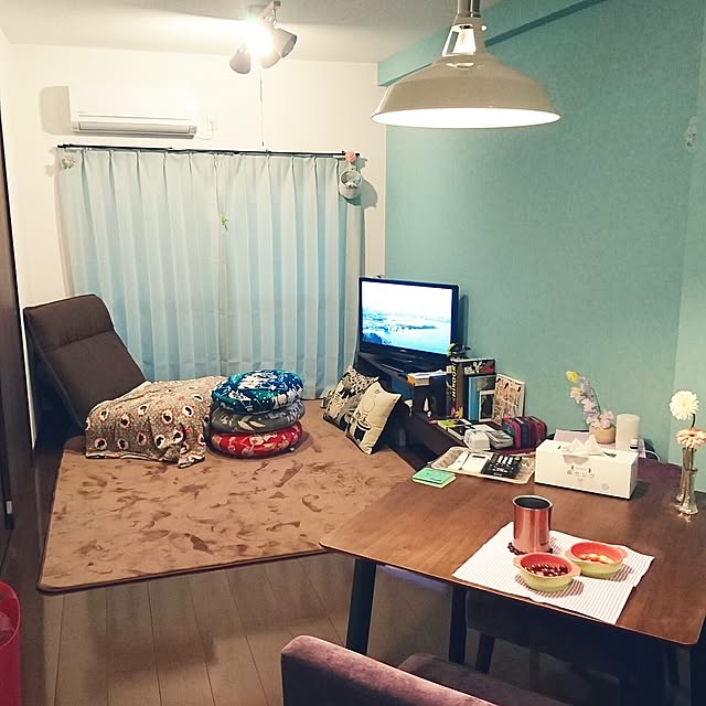 Overview,一人暮らし piroの部屋