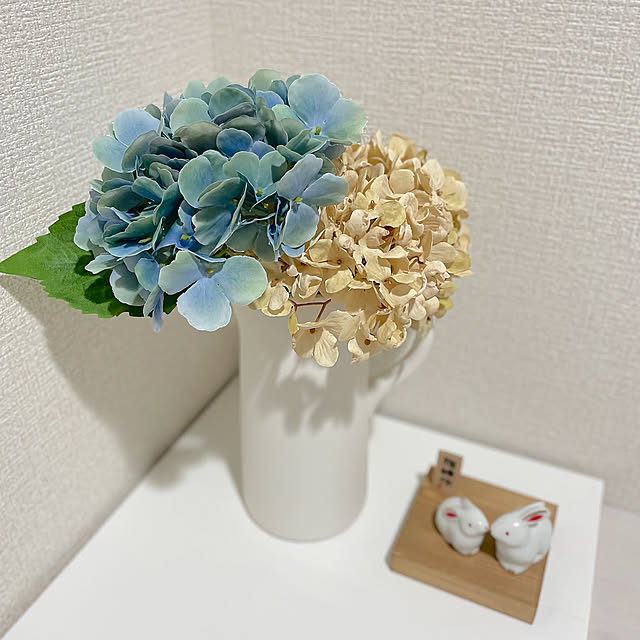 salut!,サリュ,プチプラインテリア,くすみカラーインテリア,賃貸マンション,造花,夫婦二人暮らし,シンプルインテリア,インテリア,北欧,ナチュラルインテリア,花のある暮らし,賃貸でも諦めない！,夫婦2人暮らし,シンプルな暮らしに憧れる,お花,賃貸,雑貨,賃貸でも楽しく♪,シンプルな暮らし,オシャレ雑貨,お洒落インテリア,くすみカラー,お花のある暮らし,ナチュラル,賃貸でも諦めない,Entrance gxmxhomeの部屋