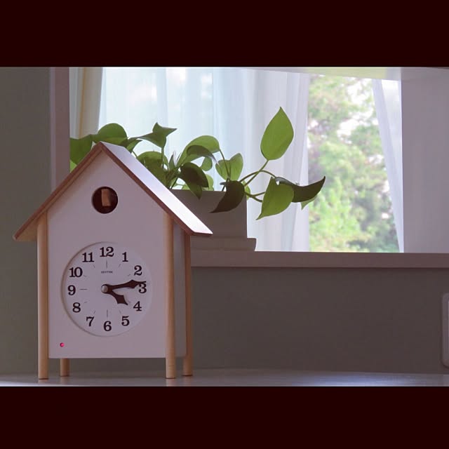 My Shelf,淡いグリーンの壁紙,カインズホーム,観葉植物,鳩時計 shinoの部屋
