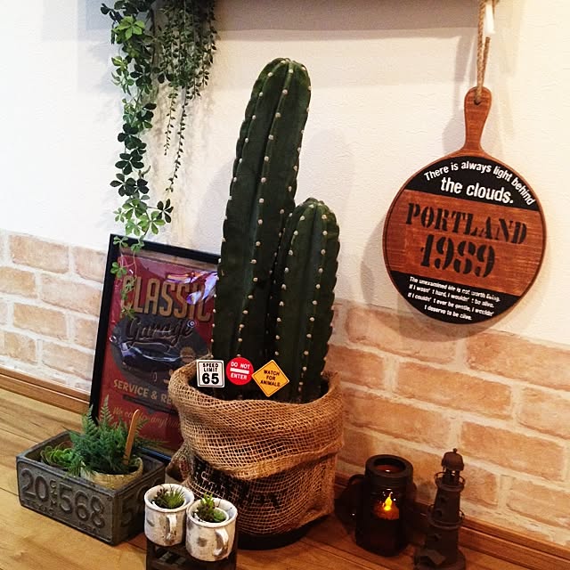 Lounge,麻の鉢カバー,多肉ちゃん,観葉植物,雑貨,salut!,柱サボテン,ガーデンピック,かっこいいも可愛いも好き♡ tomtomの部屋