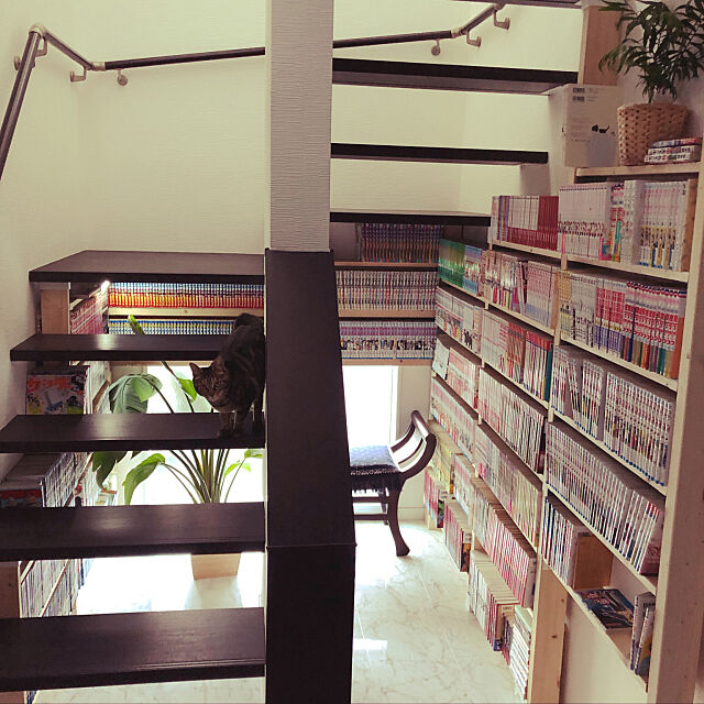階段下スペース,DIY,アジアン,漫画,本棚,観葉植物,漫画収納棚(*^^*),漫画収納,Entrance lin_yaの部屋