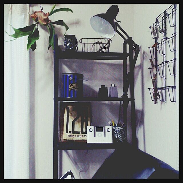 My Shelf,男前系,コウモリラン,ワークランプ,IKEA棚,セリアのアイアンカゴ usukoの部屋