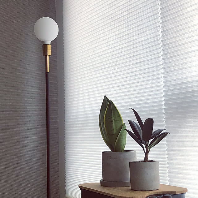 IKEA 照明,観葉植物,裸電球,単身赴任,フロアランプ,ゴールド,IKEA,DIY,ダイソー,Lounge SAMEの部屋