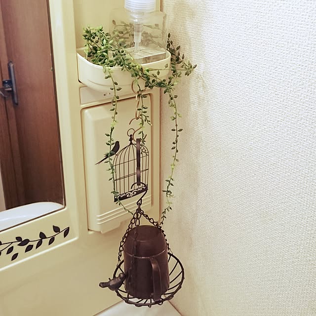 Bathroom,賃貸,フェイクグリーン,飾るだけ,100均一,100均,100均アイテム,セリア,とり,鳥,賃貸マンション,洗面台,吊りかご,コップ置き,コップ置き場 1224Mypaceの部屋