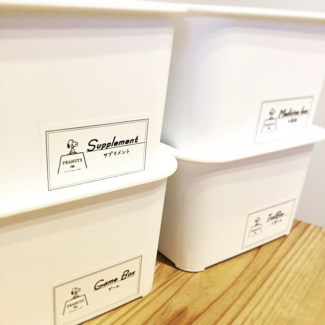 おすすめの収納ボックス70選 100均やニトリなど Roomclip Mag 暮らしとインテリアのwebマガジン