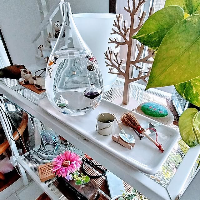 花,IKEA,ガラス,レトロ,ミニチュア,ディスプレイ,ガジュマル,植木鉢,ポトス,ガリレオ温度計,セラミス,窓辺のインテリア,ディスプレイコーナー,マンション暮らし,LERBERG,玄関正面の壁,レールベリ,ガラスフロート温度計,ベルフラワー,ラベンダー,バケツとスコップ,ほうきとちりとり,セリア,100円ショップ,ベランダガーデン,ベランダビオトープ,ウッドツリー,石ころアート,IKEA LERBERG,My Shelf mi-saの部屋