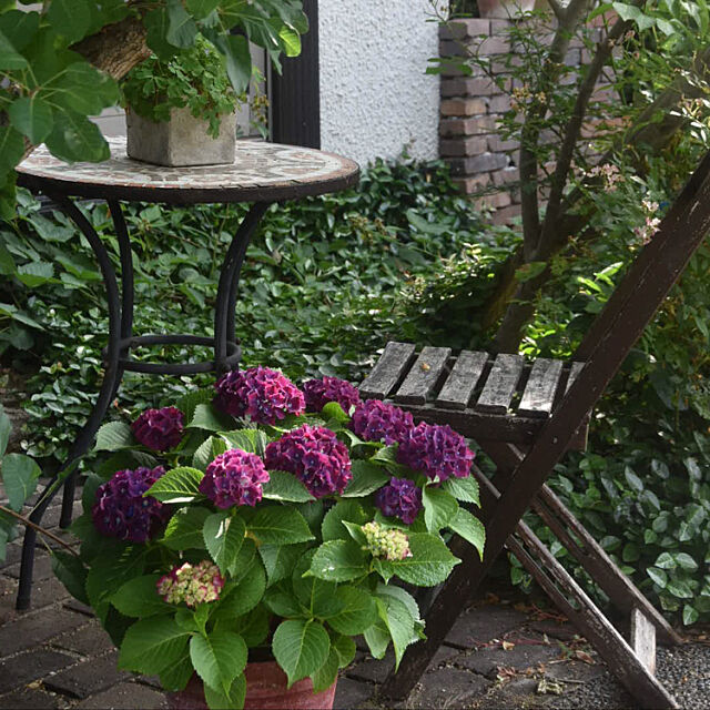 暮らしを楽しむ,ナチュラルガーデン,小さな庭,ガーデニング,お庭DIY,てづくりの庭,My Desk ruru357の部屋