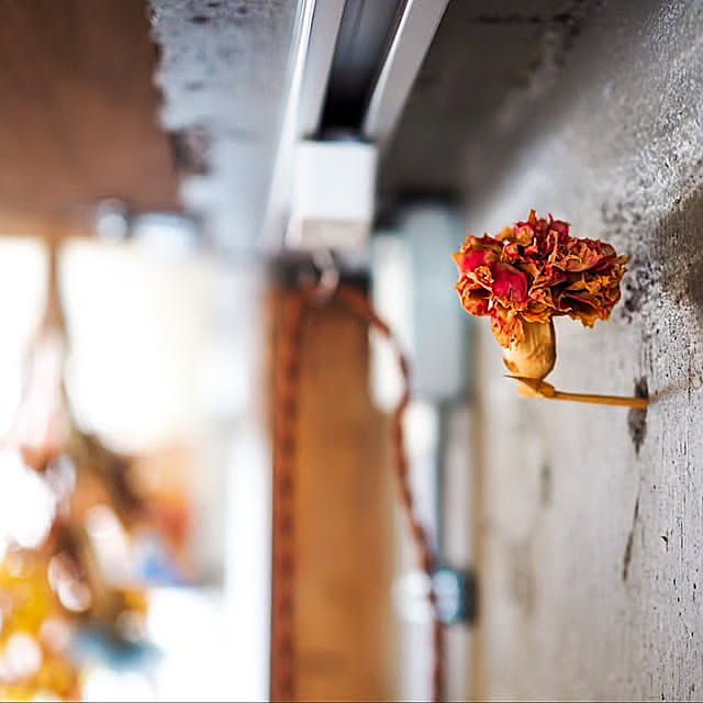 On Walls,ドライフラワー,リフォーム,リノベーション,リノベ,ドライフラワーのある暮らし,ドライフラワーを飾る,ドライフラワー のある暮らし miri_bukkoの部屋