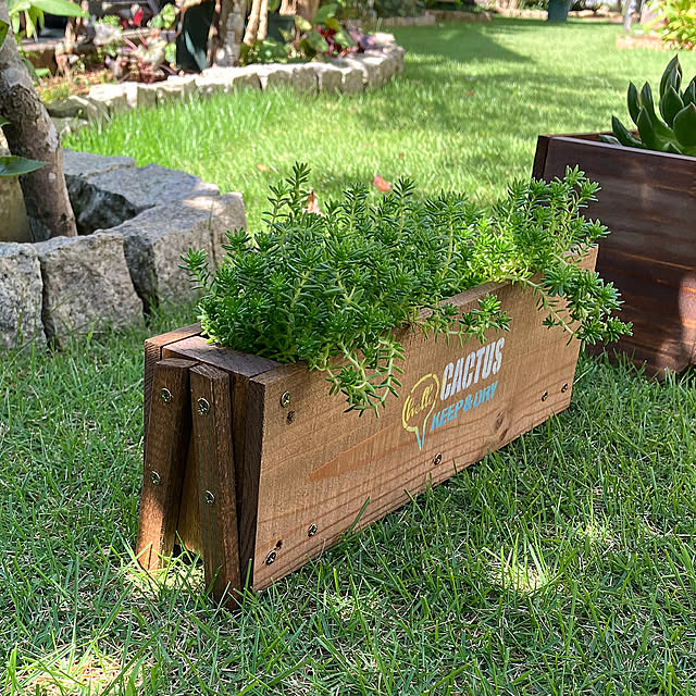 Entrance,古材DIY,ハンドメイド夏,庭,多肉植物,手作り雑貨,端材 DIY,小物DIY,DIYのある暮らし,にわのある暮らし maron915の部屋