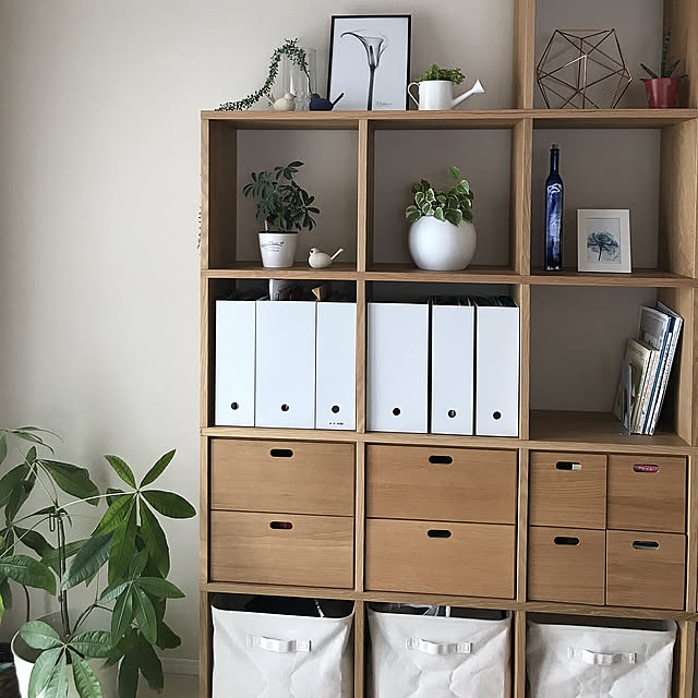 My Shelf,ぺぺロミア,北欧ナチュラル,スッキリ暮らしたい,シンプルな暮らし,無印良品,観葉植物,スタッキングシェルフ mimiの部屋