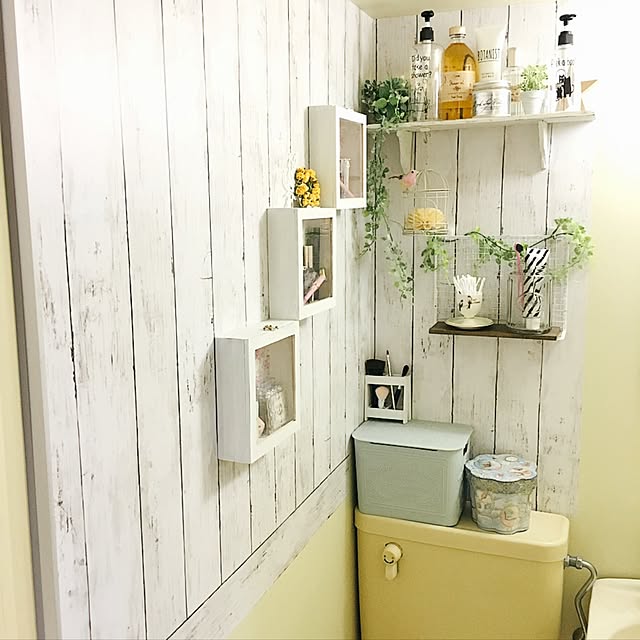 Bathroom,ユニットバス,キャンドゥ,ダイソー,一人暮らし,100均,DIY,リメイクシート,収納,鳥,鳥かご,植物のある暮らし kouneの部屋