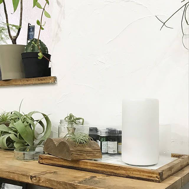 My Shelf,中古住宅,植物,いなざうるす屋さん,棚DIY,ボタニカルライフ,グリーンのある暮らし,植物のある暮らし,インスタ→kiki_nekko,無印良品,アロマディフューザー,無印良品アロマディフューザー,無印アロマディフューザー,無印 kiki_nekkoの部屋