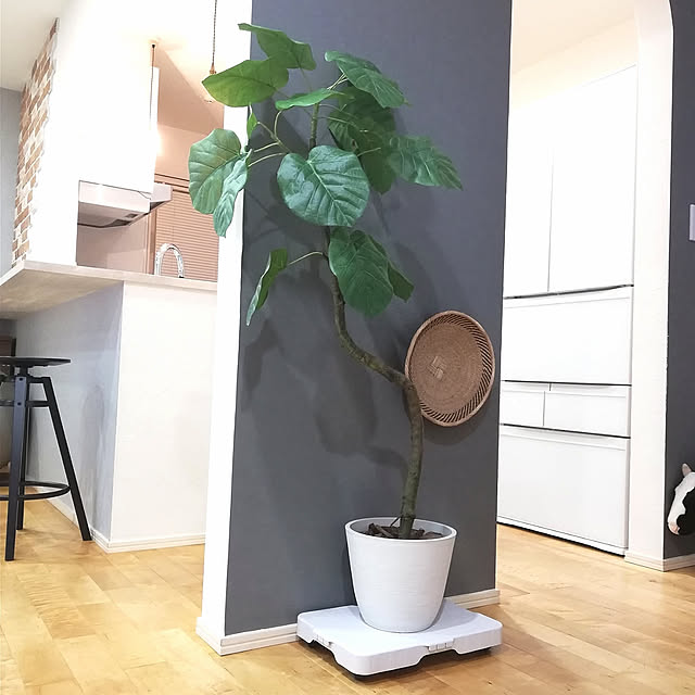 Lounge,山善,平台車,スマートフロア,ニトリ,フェイクグリーン,壁紙屋本舗,壁紙グレー Riiの部屋